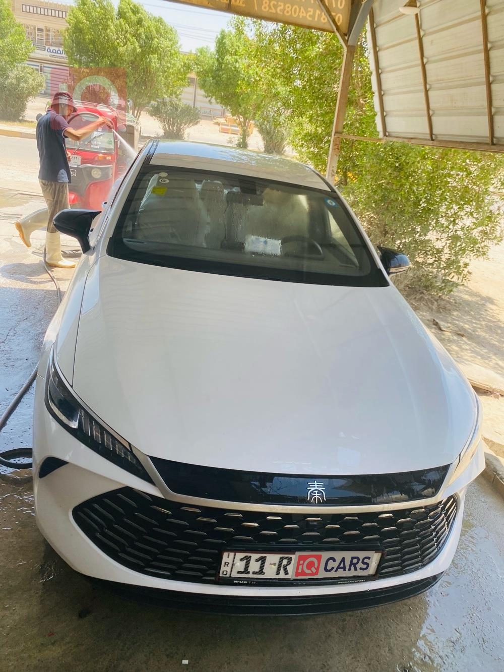 بي واي دي Qin Plus